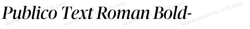 Publico Text Roman Bold字体转换
